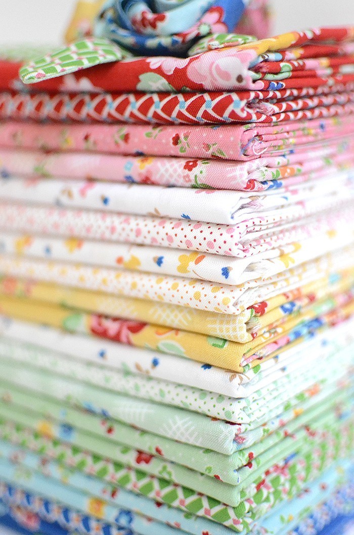 Arbor Blossom by Nadra Ridgeway for Riley Blake Designs 3