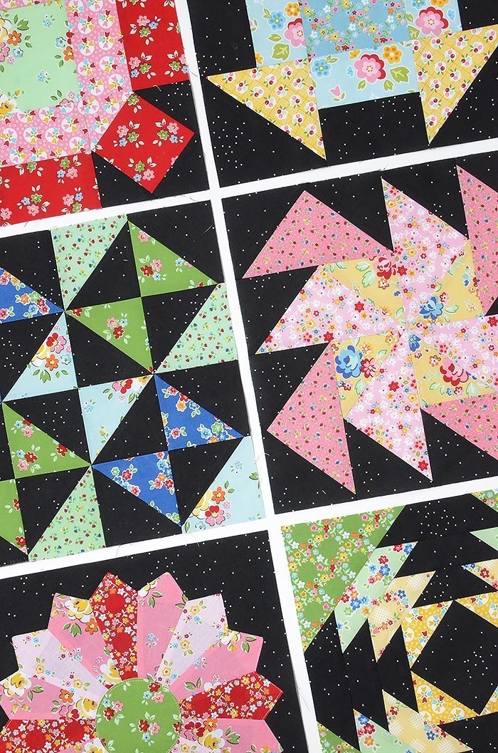 6 Köpfe 12 Böcke Halbzeit