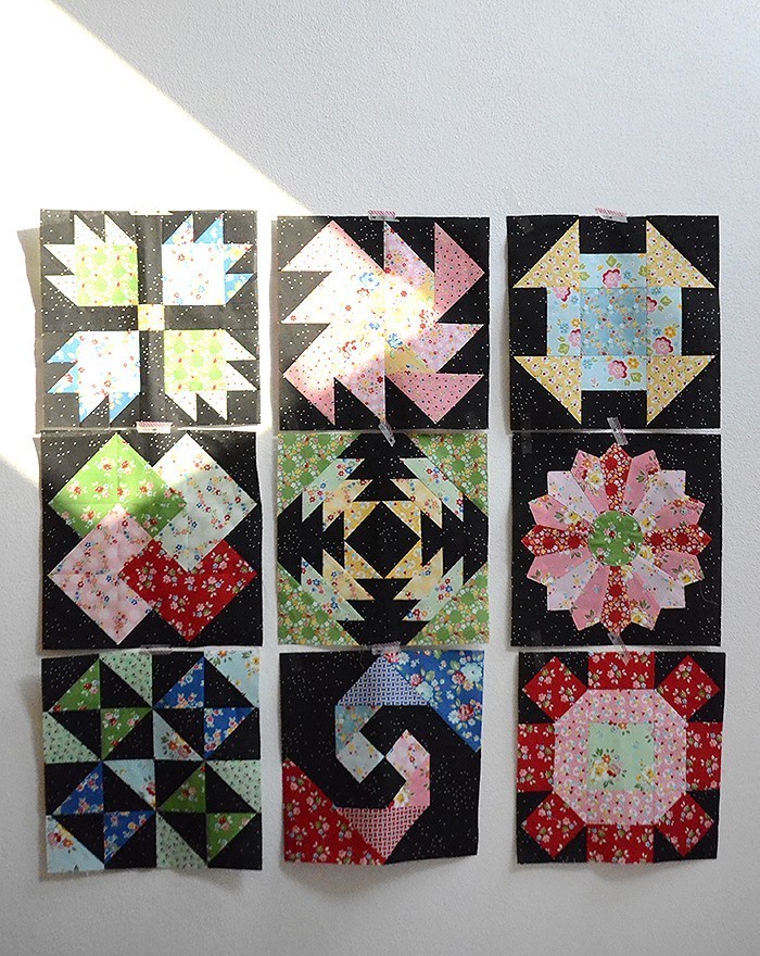 6 Köpfe 12 Blöcke - September Block Pineapple - Nadra Ridgeway von ellisandhiggs