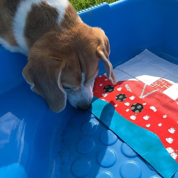 Steamship quilt block pattern